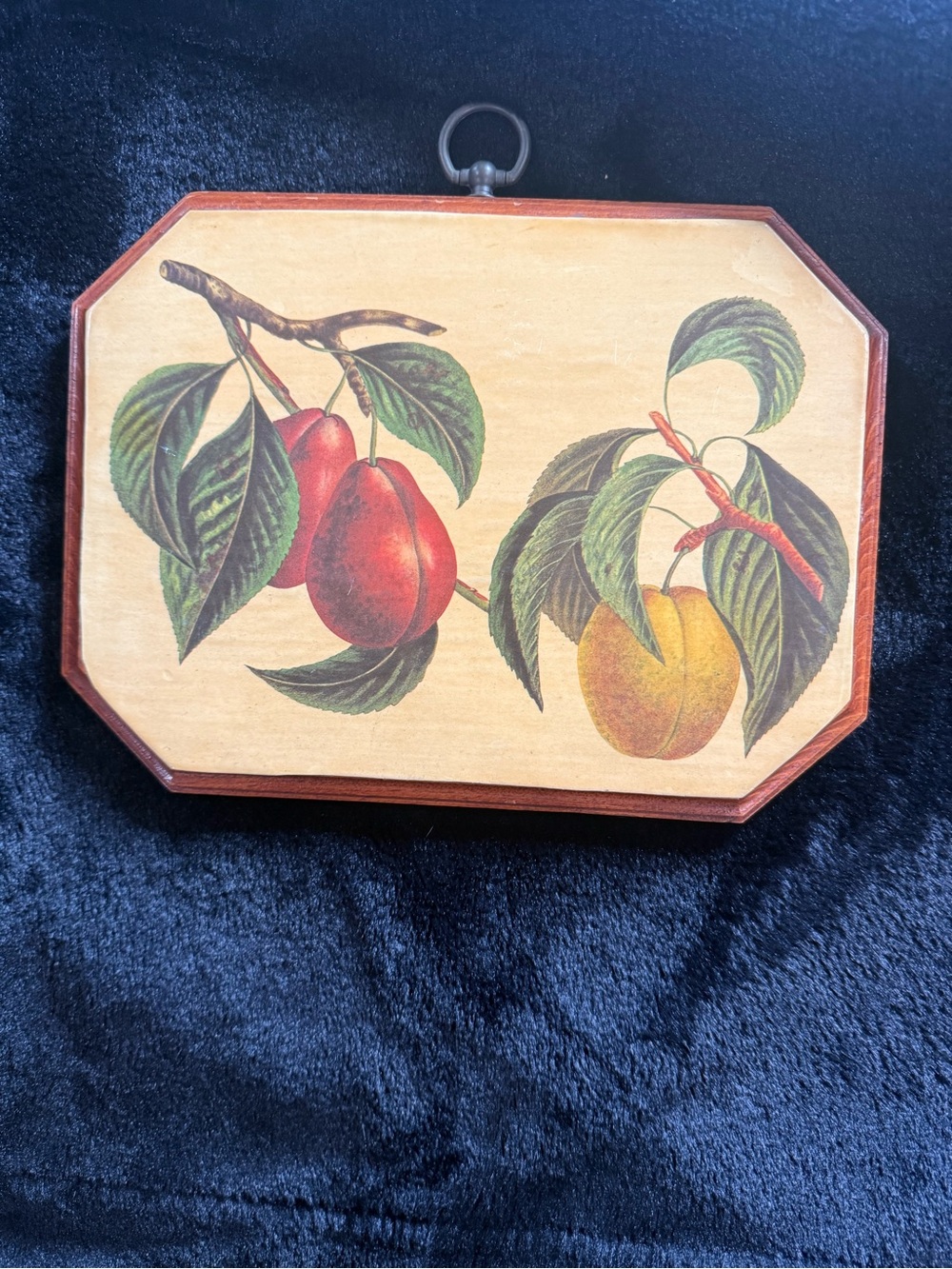 Vintage Botanical Fruit Wall Plaque Rustic Wooden Decor Granny Cottage Core